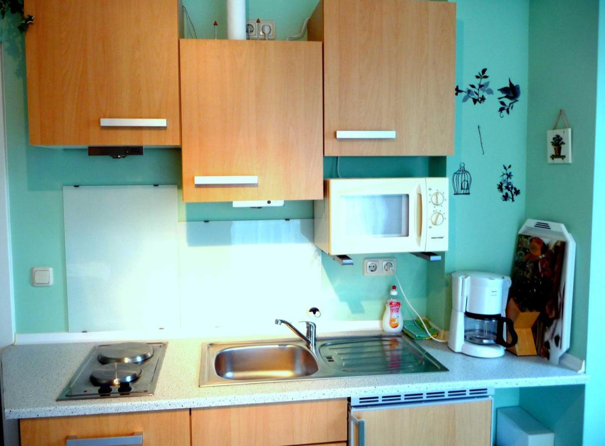Appartements Villa Drachenberg 사스니츠 외부 사진